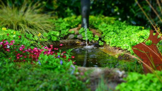 Comment créer un bassin naturel dans son jardin ?