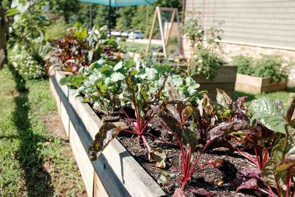 Comment bien organiser son potager ?